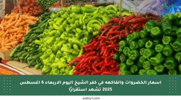 أسعار الخضروات والفاكهة في كفر الشيخ اليوم الأربعاء 6 أغسطس 2025 تشهد استقرارًا